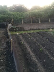 Allotment